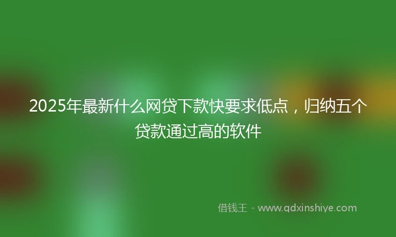 2025年最新什么网贷下款快要求低点，归纳五个贷款通过高的软件