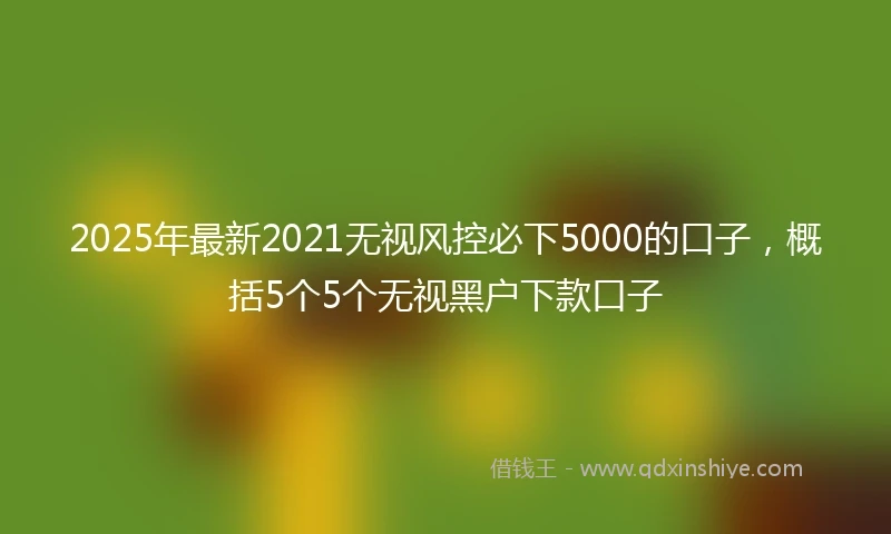 2025年最新2021无视风控必下5000的口子，概括5个5个无视黑户下款口子