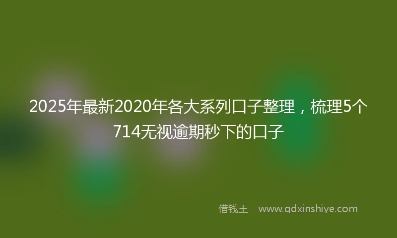 2025年最新2020年各大系列口子整理，梳理5个714无视逾期秒下的口子