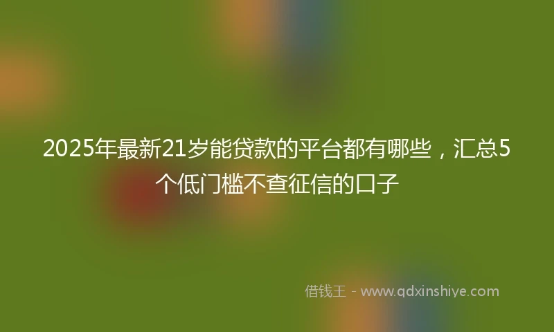 2025年最新21岁能贷款的平台都有哪些，汇总5个低门槛不查征信的口子