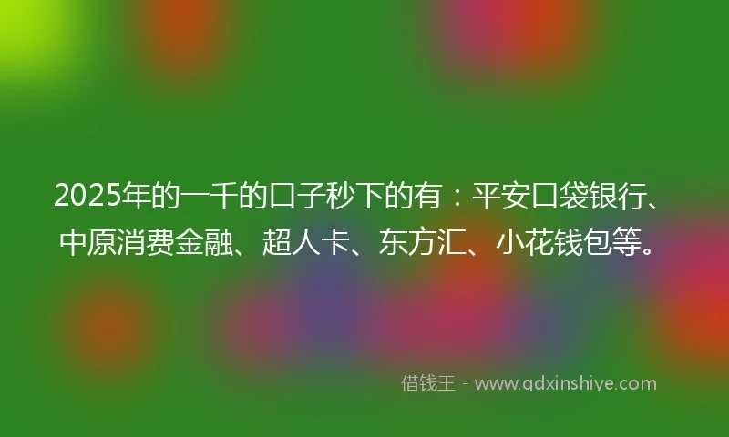2025年的一千的口子秒下的有：平安口袋银行、中原消费金融、超人卡、东方汇、小花钱包等。