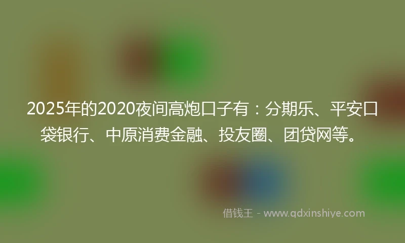 2025年的2020夜间高炮口子有：分期乐、平安口袋银行、中原消费金融、投友圈、团贷网等。