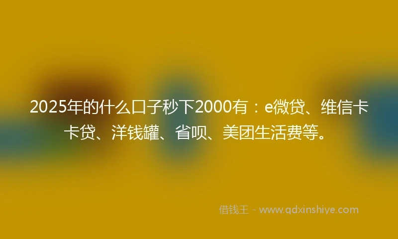 2025年的什么口子秒下2000有：e微贷、维信卡卡贷、洋钱罐、省呗、美团生活费等。