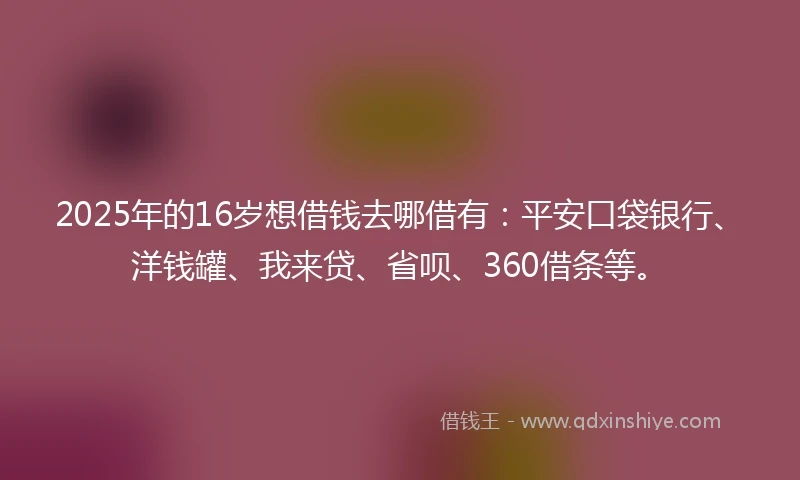 2025年的16岁想借钱去哪借有：平安口袋银行、洋钱罐、我来贷、省呗、360借条等。