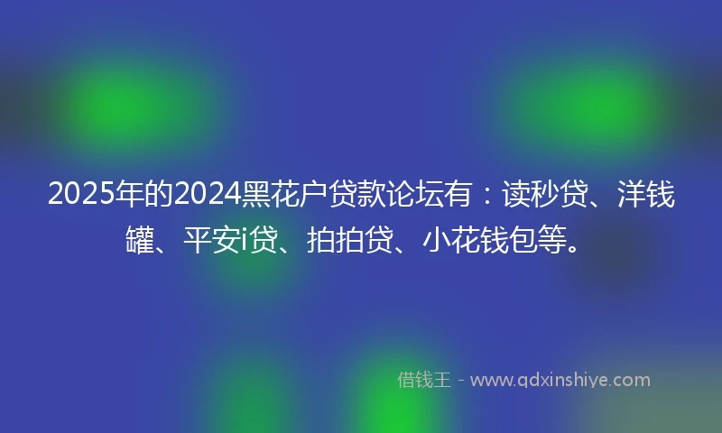 2025年的2024黑花户贷款论坛有：读秒贷、洋钱罐、平安i贷、拍拍贷、小花钱包等。