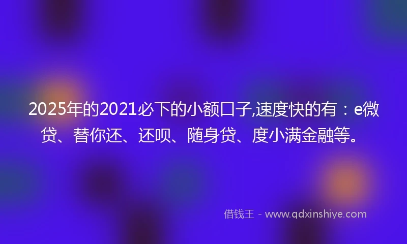2025年的2021必下的小额口子,速度快的有：e微贷、替你还、还呗、随身贷、度小满金融等。
