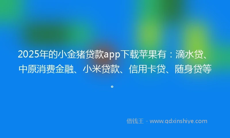 2025年的小金猪贷款app下载苹果有：滴水贷、中原消费金融、小米贷款、信用卡贷、随身贷等。