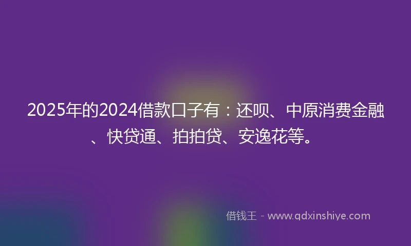 2025年的2024借款口子有：还呗、中原消费金融、快贷通、拍拍贷、安逸花等。