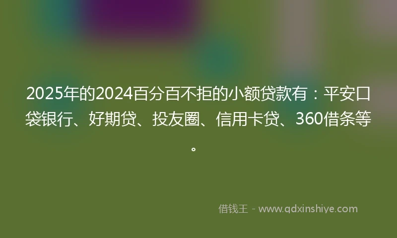 2025年的2024百分百不拒的小额贷款有：平安口袋银行、好期贷、投友圈、信用卡贷、360借条等。