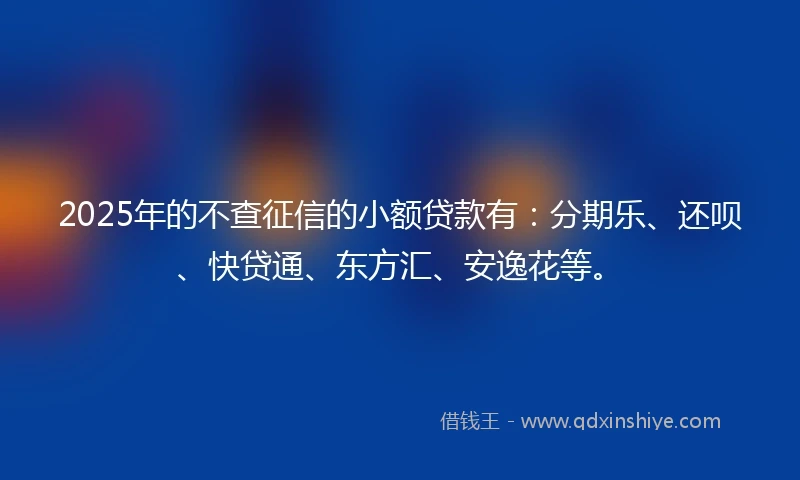 2025年的不查征信的小额贷款有：分期乐、还呗、快贷通、东方汇、安逸花等。
