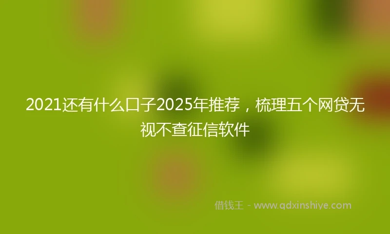2021还有什么口子2025年推荐，梳理五个网贷无视不查征信软件