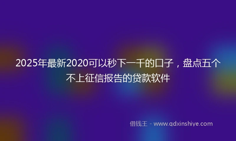 2025年最新2020可以秒下一千的口子，盘点五个不上征信报告的贷款软件