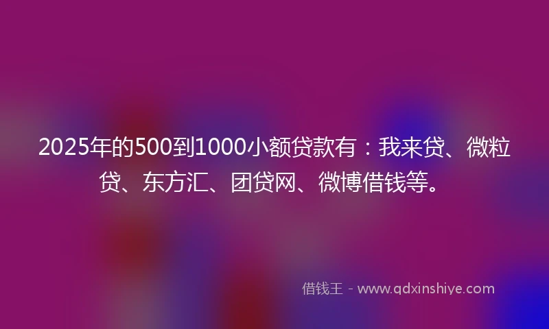2025年的500到1000小额贷款有：我来贷、微粒贷、东方汇、团贷网、微博借钱等。
