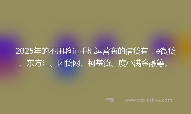 2025年的不用验证手机运营商的借贷有：e微贷、东方汇、团贷网、柯基贷、度小满金融等。