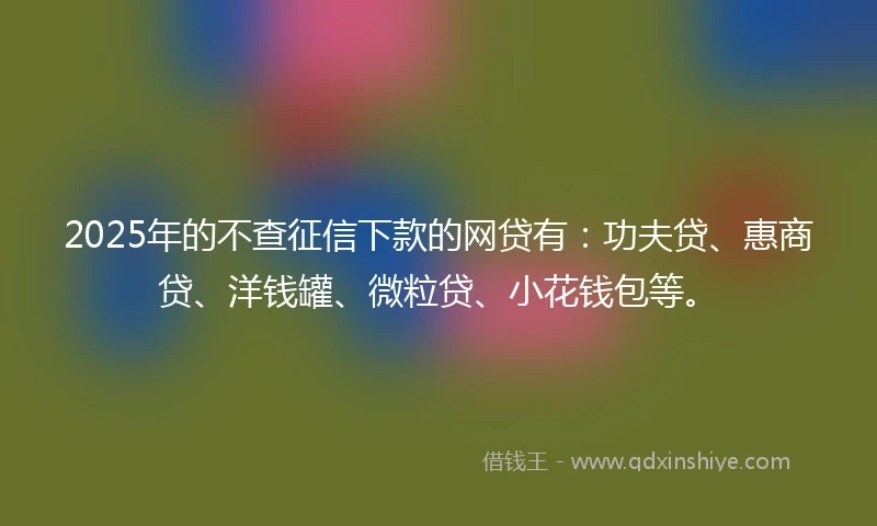 2025年的不查征信下款的网贷有：功夫贷、惠商贷、洋钱罐、微粒贷、小花钱包等。