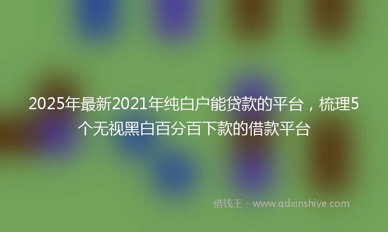 2025年最新2021年纯白户能贷款的平台，梳理5个无视黑白百分百下款的借款平台