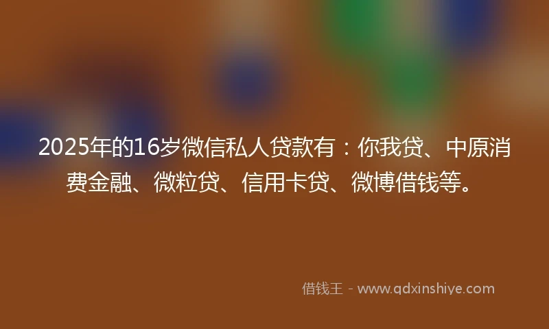 2025年的16岁微信私人贷款有：你我贷、中原消费金融、微粒贷、信用卡贷、微博借钱等。