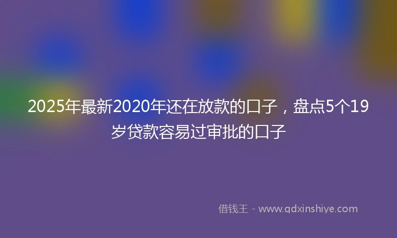 2025年最新2020年还在放款的口子，盘点5个19岁贷款容易过审批的口子
