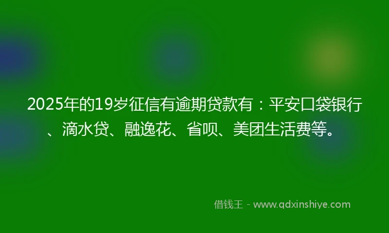 2025年的19岁征信有逾期贷款有：平安口袋银行、滴水贷、融逸花、省呗、美团生活费等。
