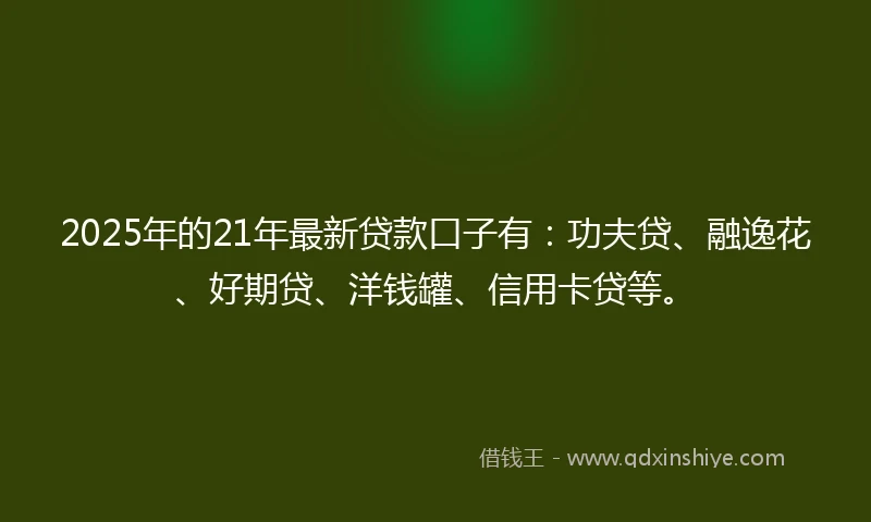 2025年的21年最新贷款口子有：功夫贷、融逸花、好期贷、洋钱罐、信用卡贷等。