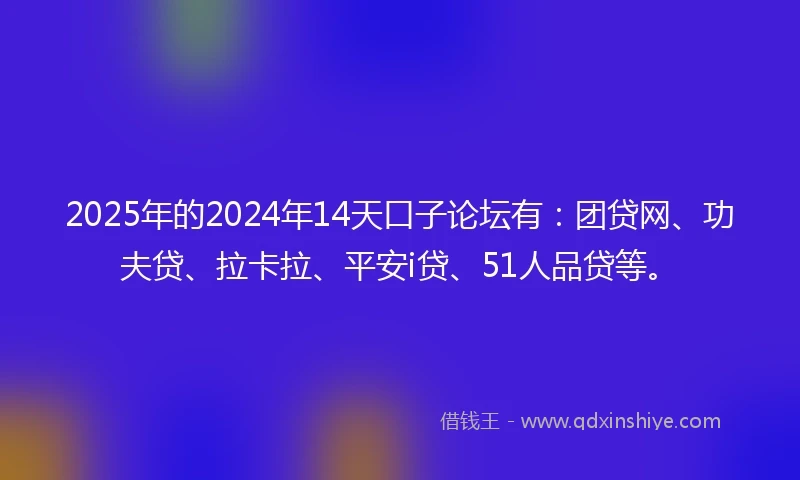 2025年的2024年14天口子论坛有：团贷网、功夫贷、拉卡拉、平安i贷、51人品贷等。