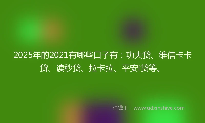 2025年的2021有哪些口子有：功夫贷、维信卡卡贷、读秒贷、拉卡拉、平安i贷等。