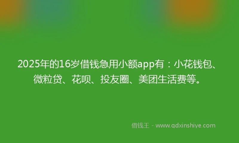 2025年的16岁借钱急用小额app有：小花钱包、微粒贷、花呗、投友圈、美团生活费等。