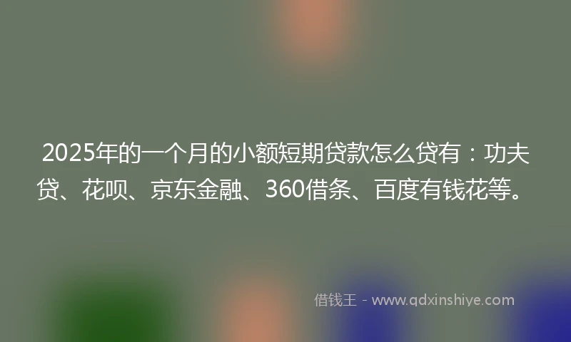 2025年的一个月的小额短期贷款怎么贷有：功夫贷、花呗、京东金融、360借条、百度有钱花等。