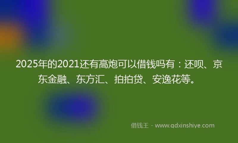 2025年的2021还有高炮可以借钱吗有：还呗、京东金融、东方汇、拍拍贷、安逸花等。