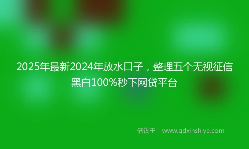 2025年最新2024年放水口子，整理五个无视征信黑白100%秒下网贷平台