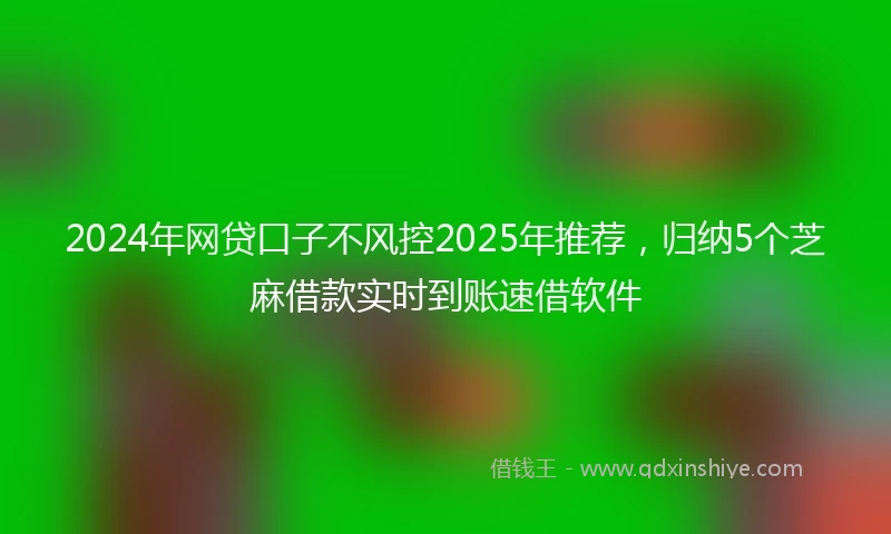 2024年网贷口子不风控2025年推荐，归纳5个芝麻借款实时到账速借软件