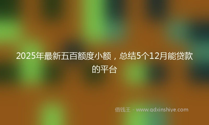 2025年最新五百额度小额，总结5个12月能贷款的平台