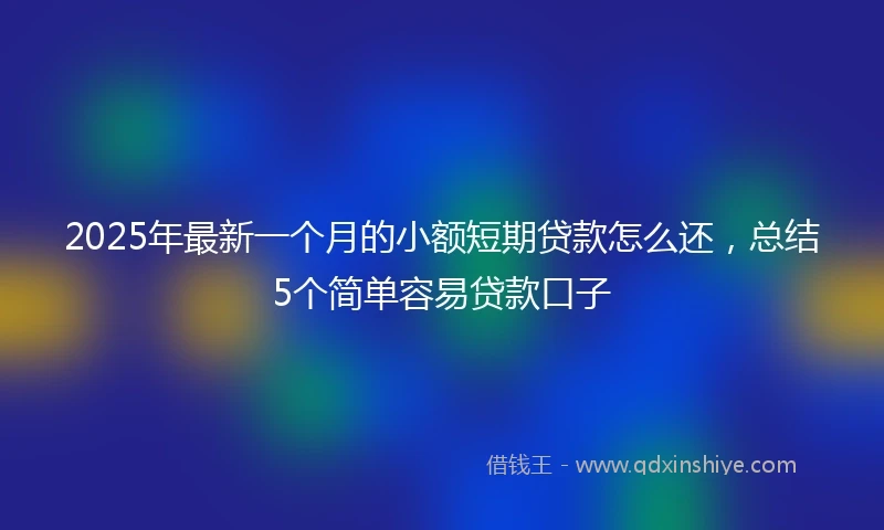 2025年最新一个月的小额短期贷款怎么还，总结5个简单容易贷款口子
