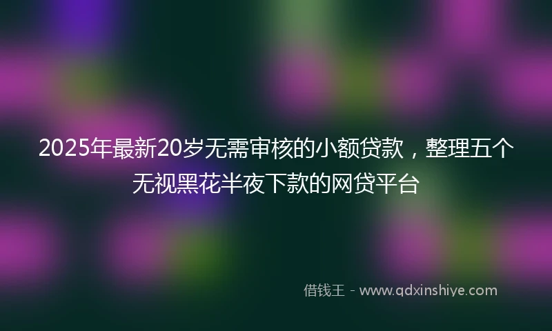 2025年最新20岁无需审核的小额贷款，整理五个无视黑花半夜下款的网贷平台