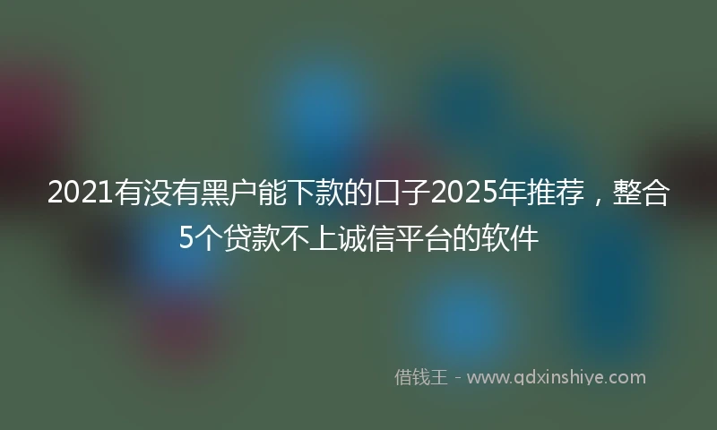 2021有没有黑户能下款的口子2025年推荐，整合5个贷款不上诚信平台的软件