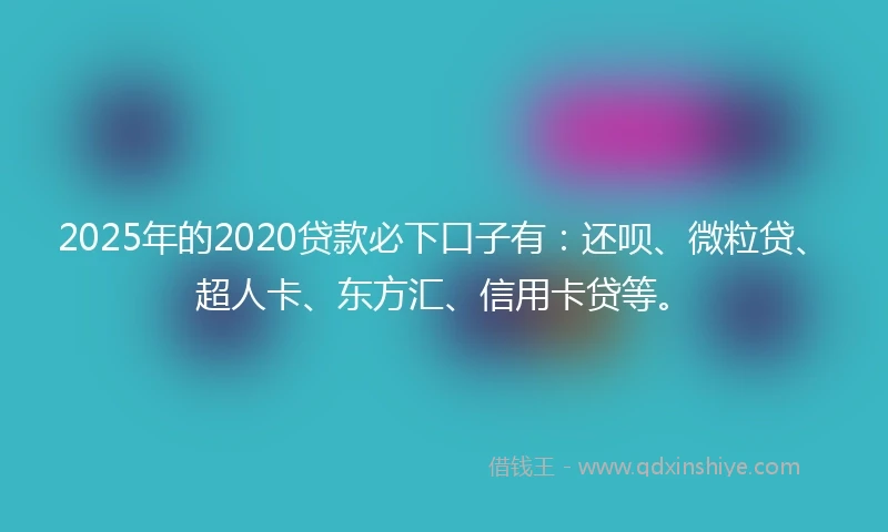 2025年的2020贷款必下口子有：还呗、微粒贷、超人卡、东方汇、信用卡贷等。