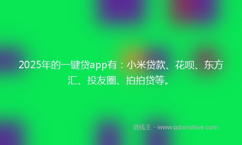 2025年的一键贷app有：小米贷款、花呗、东方汇、投友圈、拍拍贷等。