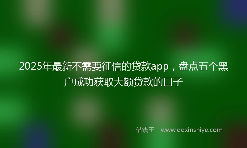 2025年最新不需要征信的贷款app，盘点五个黑户成功获取大额贷款的口子