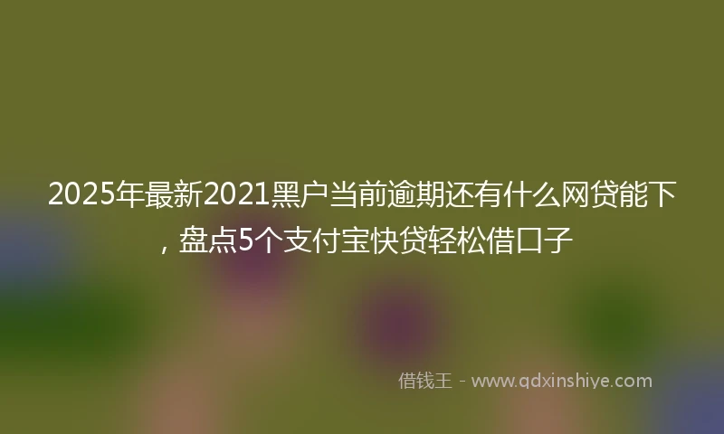 2025年最新2021黑户当前逾期还有什么网贷能下，盘点5个支付宝快贷轻松借口子