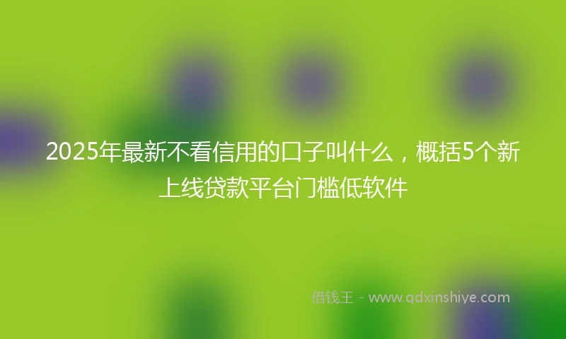 2025年最新不看信用的口子叫什么，概括5个新上线贷款平台门槛低软件