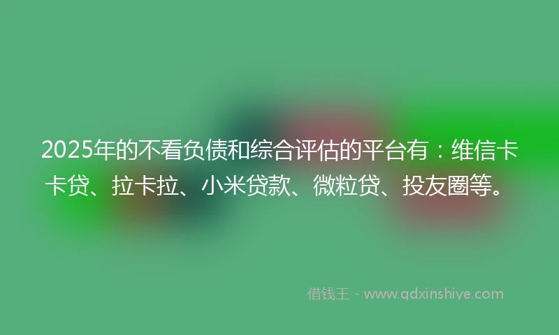 2025年的不看负债和综合评估的平台有：维信卡卡贷、拉卡拉、小米贷款、微粒贷、投友圈等。