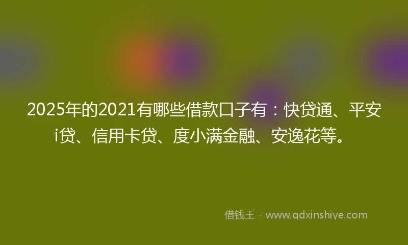 2025年的2021有哪些借款口子有：快贷通、平安i贷、信用卡贷、度小满金融、安逸花等。