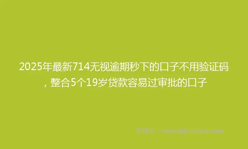 2025年最新714无视逾期秒下的口子不用验证码，整合5个19岁贷款容易过审批的口子