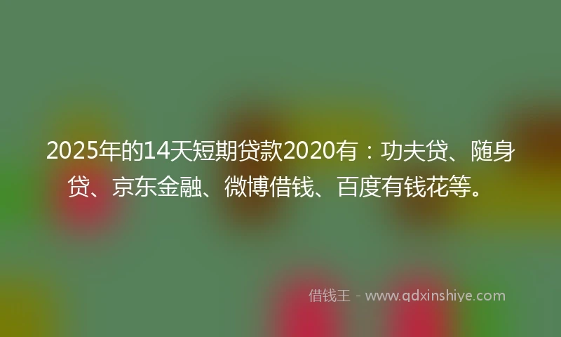 2025年的14天短期贷款2020有：功夫贷、随身贷、京东金融、微博借钱、百度有钱花等。