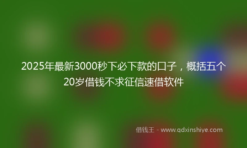 2025年最新3000秒下必下款的口子，概括五个20岁借钱不求征信速借软件