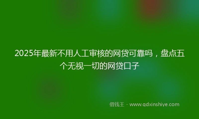 2025年最新不用人工审核的网贷可靠吗，盘点五个无视一切的网贷口子