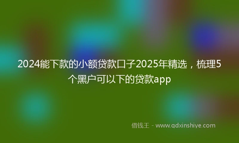 2024能下款的小额贷款口子2025年精选，梳理5个黑户可以下的贷款app