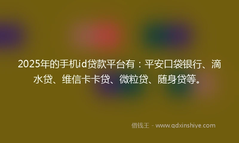 2025年的手机id贷款平台有：平安口袋银行、滴水贷、维信卡卡贷、微粒贷、随身贷等。