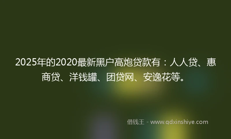 2025年的2020最新黑户高炮贷款有：人人贷、惠商贷、洋钱罐、团贷网、安逸花等。