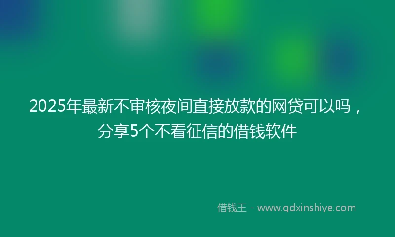 2025年最新不审核夜间直接放款的网贷可以吗，分享5个不看征信的借钱软件
